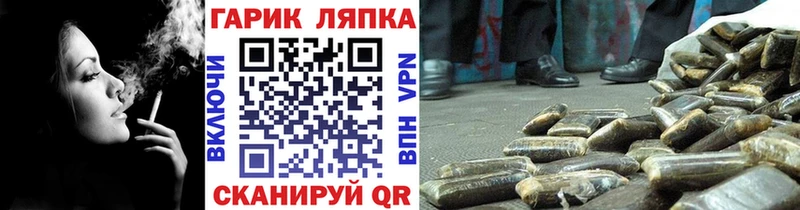 ГАШ Premium Новомосковск