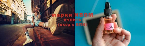 прущий лед Горняк