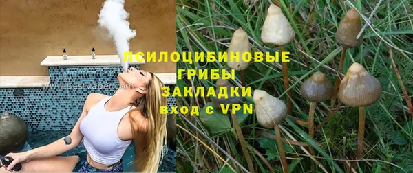 прущий лед Горняк