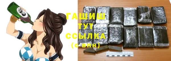 прущий лед Горняк