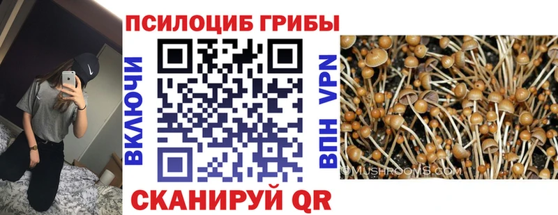 Галлюциногенные грибы Magic Shrooms  Новомосковск 